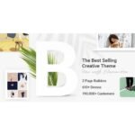 Bridge – Creative Elementor and WooCommerce WordPress Theme
