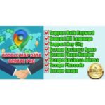Google Maps Data Scraper Pro With Multi-Language