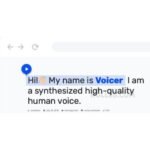 Voicer – Text to Speech Plugin for WordPress