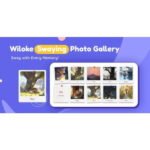 Wiloke Swaying Photo Gallery