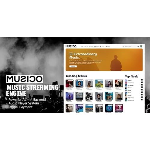 MUSICO-–-Music-Streaming-Engine.jpg MUSICO – Music Streaming Engine - Image 1