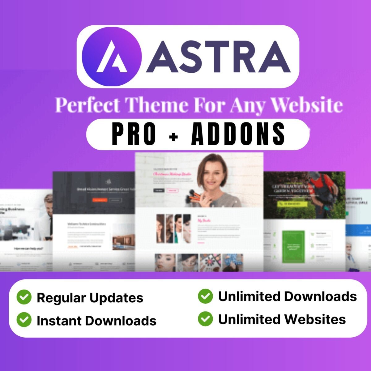Astra Pro WordPress Plugin 4.10.1 - Image 1