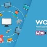 WOOBE v2.1.3.2 – WooCommerce Bulk Editor and Products Manager Professional