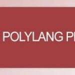 Polylang Pro v3.3.3 – Multilingual Plugin